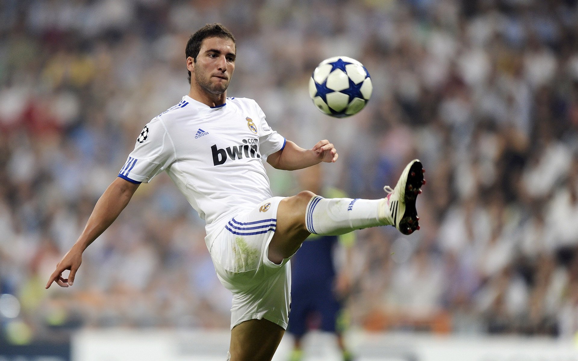 史上最年轻的“欧洲巨星”崛起起点，史上最年轻的明星是谁