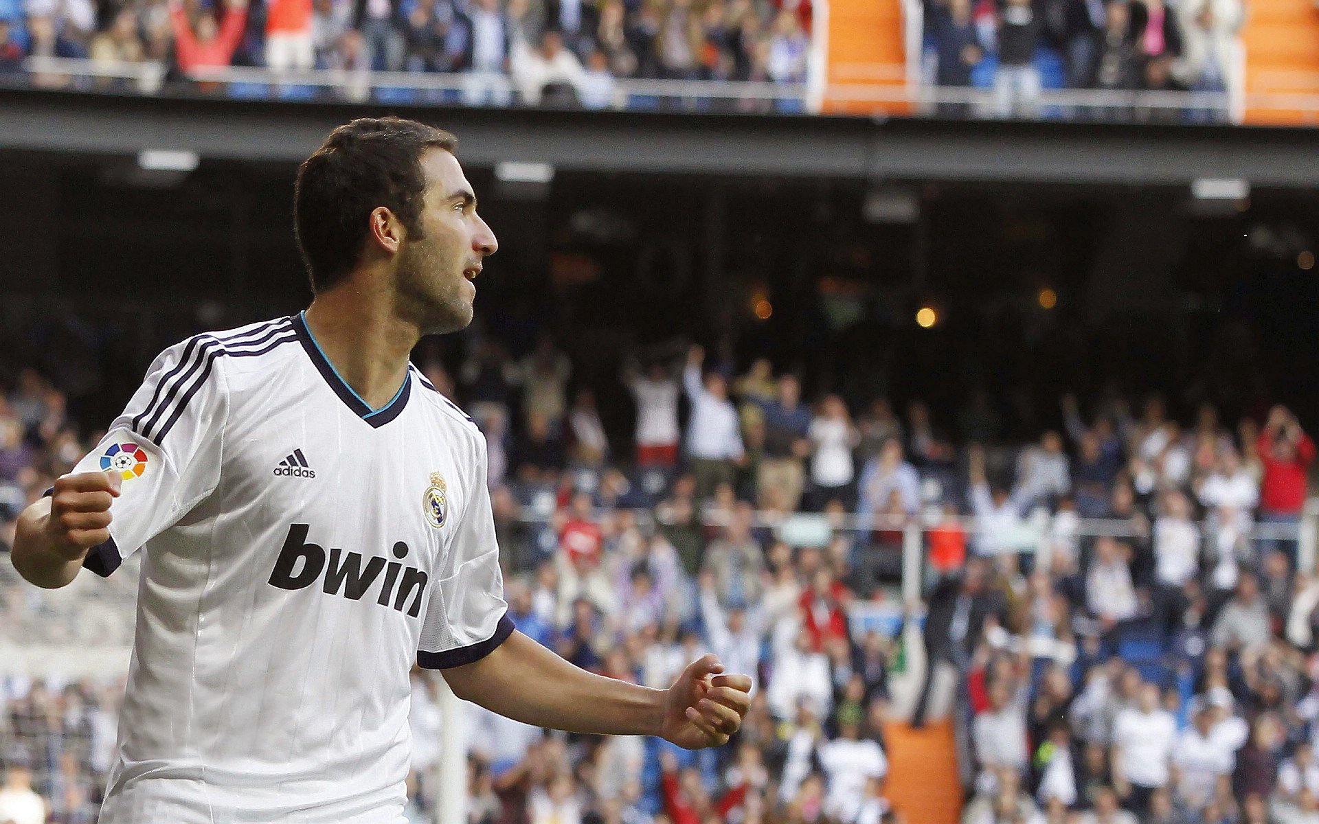 史上最年轻的“冠军得主”揭秘，未来之星崭露头角，历史最年轻总冠军